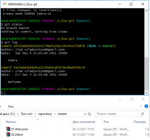 Отчёт от 9980 за Система Git / git commit zebra