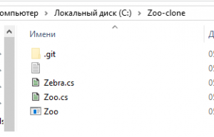 Отчёт от 9980 за Система Git / git push clone